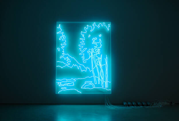 F.H. (Neon), 2013, 210 x 160 x 15 cm, Neonöhren auf Plexiglaskasten